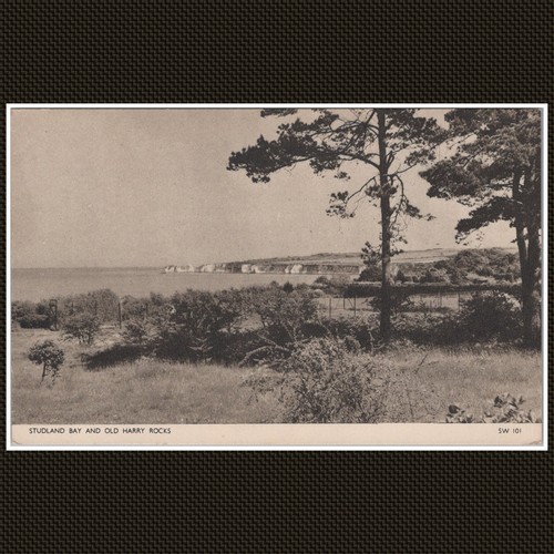 Studland bay old - studland,