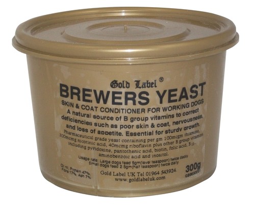 Gold label canine - gold,