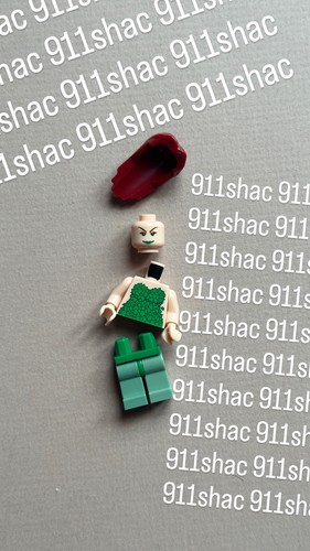 Lego batman poison ivy - batman,