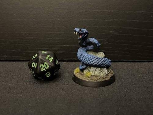 Snake viper dungeons - dungeons, and
