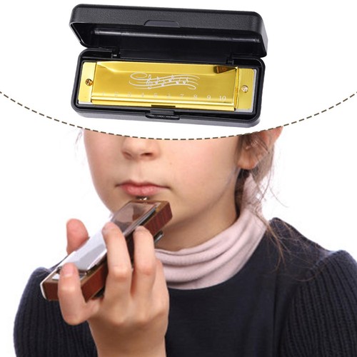 Mouth organ portable teaching - mouth,