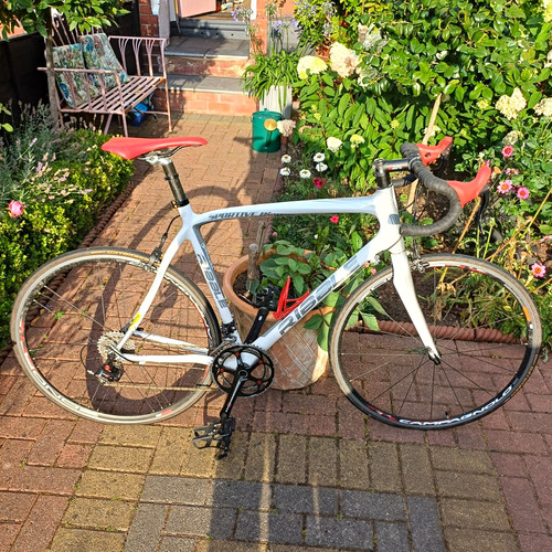 Ribble sportive bianco carbon - sportive,