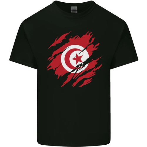 Torn tunisia flag tunisian day - flag,