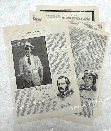 Cricket pioneers sport - cricket,