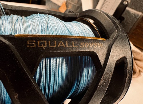 Penn squall 50vsw - penn,