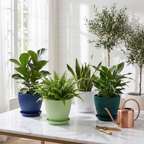 Plastic plant pots - 3-6x,