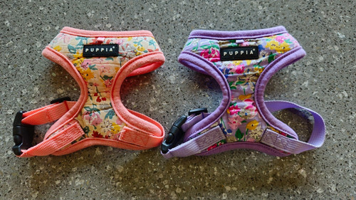 Puppia dog harness - puppia,