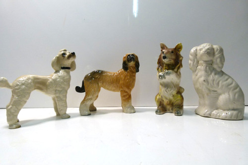 Poodle afgan hound - poodle,, terrier