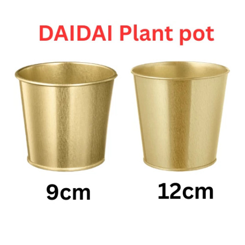 New ikea daidai plant - daidai,