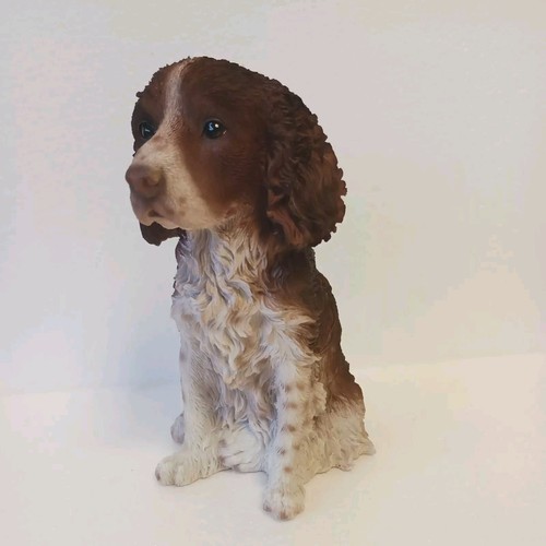 Vivid arts springer - vivid, spaniel