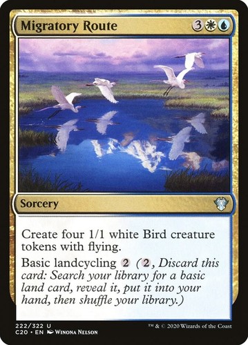 Migratory route commander - 1x,