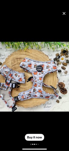 Dog small harness pumpkin - small,