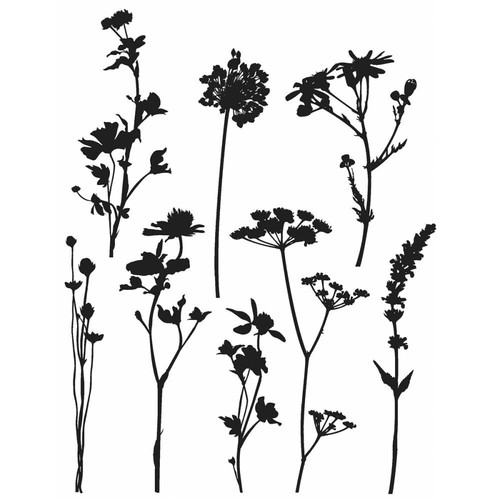 Wildflowers tim holtz - tim, pre
