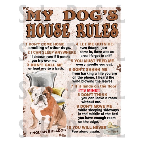 Dog house rules - dog's,