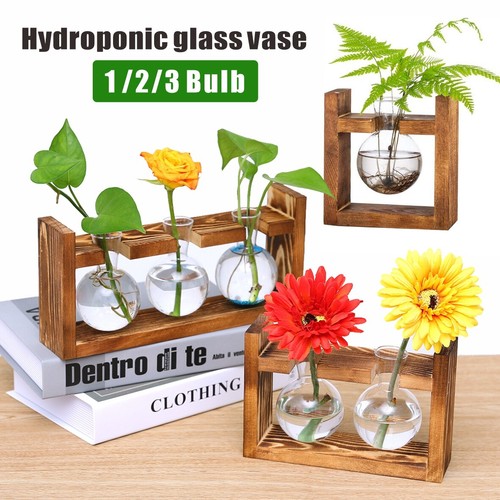 Plant propagation station - propagation,