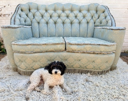 Vintage french style - vintage, french-style