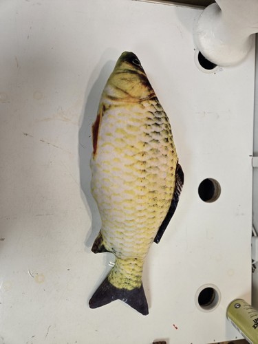 100cm fish plush toys - fish,
