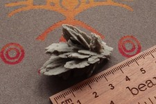 Gypsum desert rose piece - gypsum,