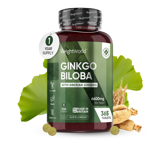 Ginkgo biloba 365 tablets - tablets,
