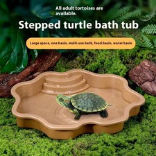 Turtle bathing pool - turtle,