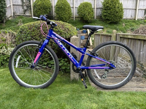 Carrera saruna bike blue - carrera, blue/pink