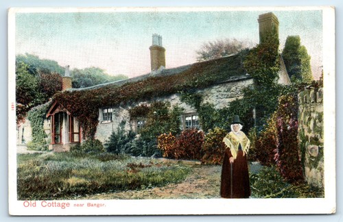 Postcard bangor welsh ady - postcard,