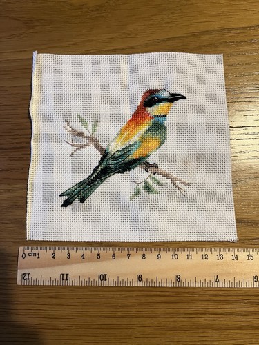 Bee eater bird - bird, cross