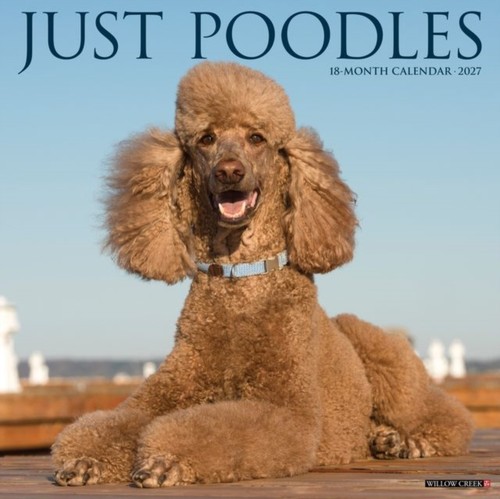 Poodles 2027 wall - wall, willow
