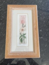 Judy Ball Limited Edition