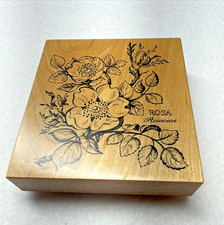 PSX K-036 Rosa Botanical Wild