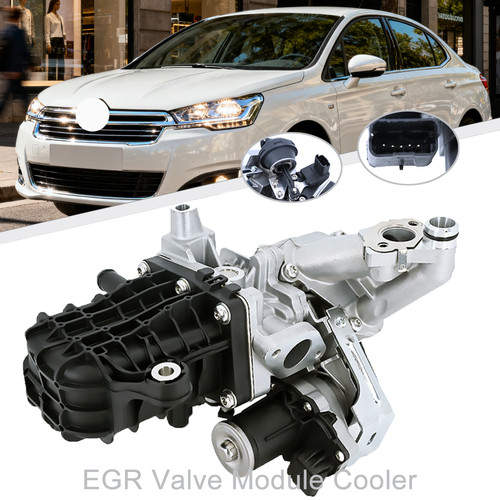 Egr valve module - module, cooler