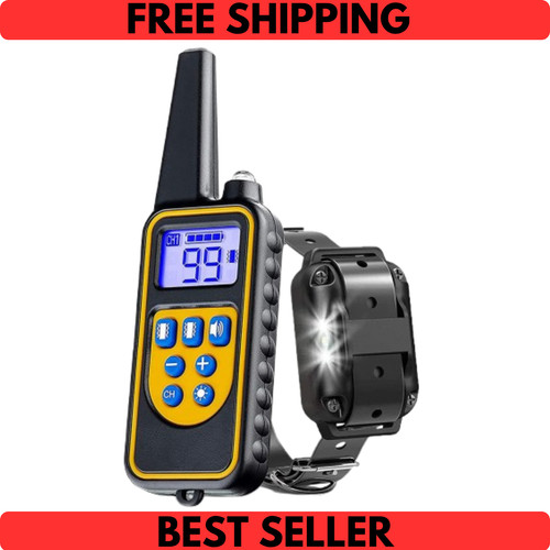 800m electric pet dog - 800m, training