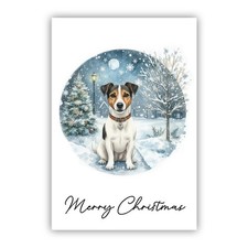 Jack Russell Terrier Christmas