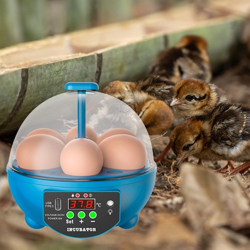 Egg incubator automatic with - egg,