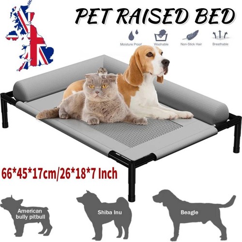 Elevated pet bed dog raised - pet,