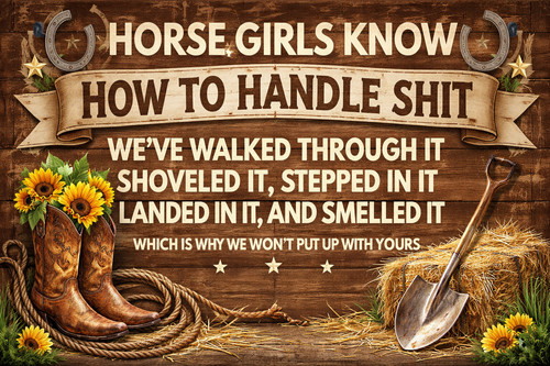 Horse signs funny metal - signs, plaque