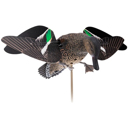 Avian powerflight hen teal - avian,