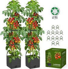 2X Tomato Planter Boxes &