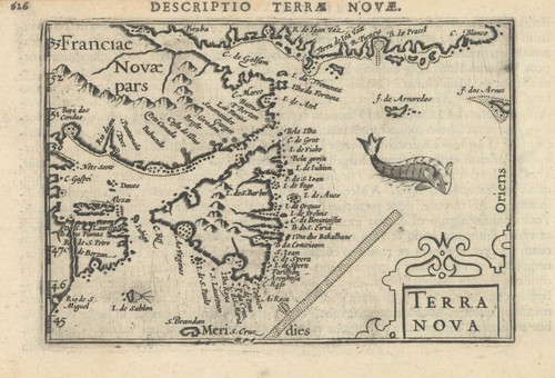Terrae novae terra - terrae, nova
