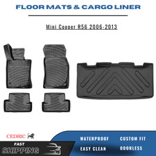 Car Floor Mats & Trunk Cargo
