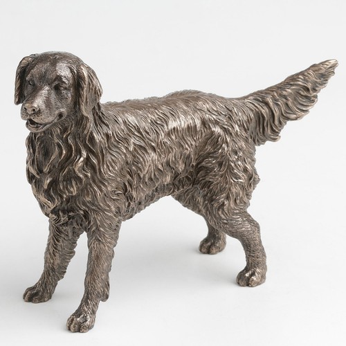 Golden retriever cold cast - retriever,