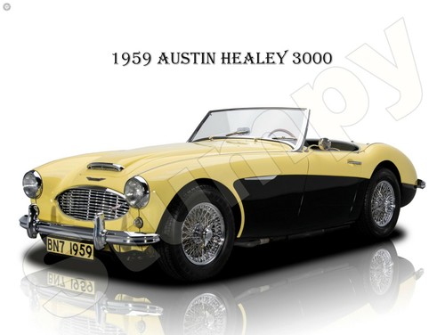 1959 austin healey 3000 metal - healey,