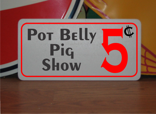Pot belly pig - pot, 5