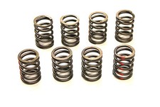 SET OF VALVE SPRINGS FOR