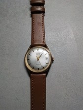 Avia Olympic 17 Jewels Incabloc Gold-Plated Men's Watch with Date