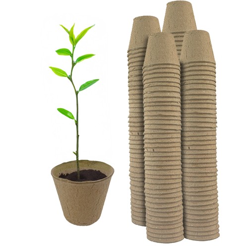 Compostable paper plant - paper, pots