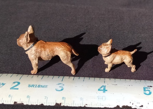 French bulldog germany heyde - french,