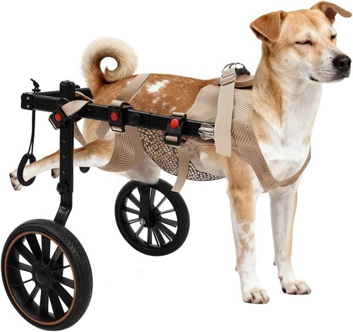 Pet rehabilitation walking aid - rehabilitation,