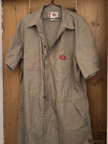 Read description dickies - description,