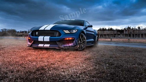 Ford mustang shelby gt500 - mustang, blue